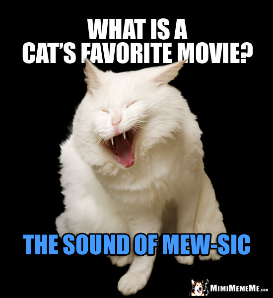 Laughing Cat Asks: What is a cat's favorite movie? The Sound of Mew-Sic