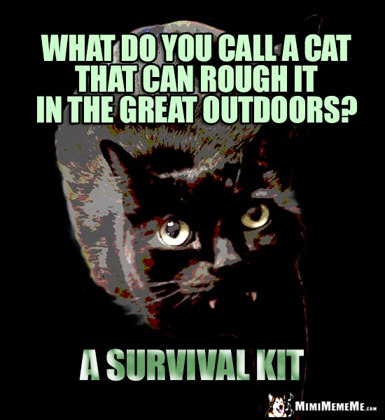 Manly Cat Humor: What do you call a cat that can rough it in the great outdoors? A Survival Kit