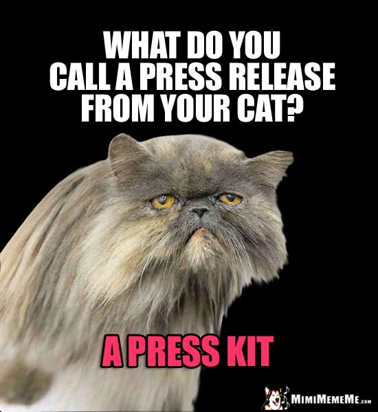 Cat News Flash! What do you call a press release from your cat? A press kit