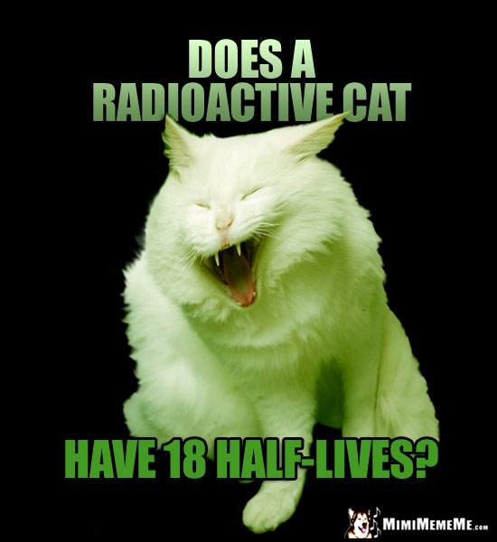 Laughing Cat Asks: Does a radioactive cat have 18 half-lives?