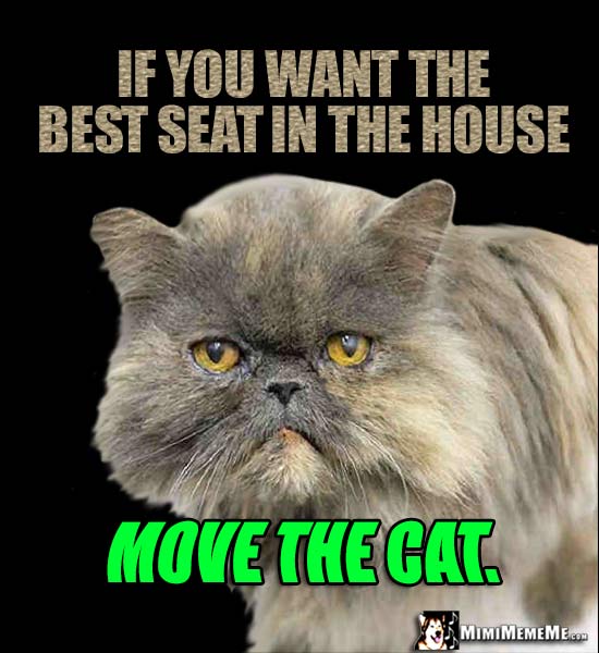 Fat Cat Humor: If you want the best seat in the house, move the cat.