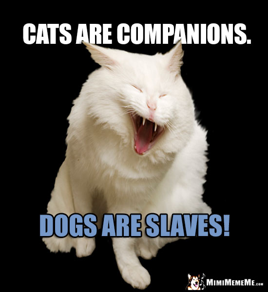Laughing Cat Says: Cats are companions. Dogs are slaves!