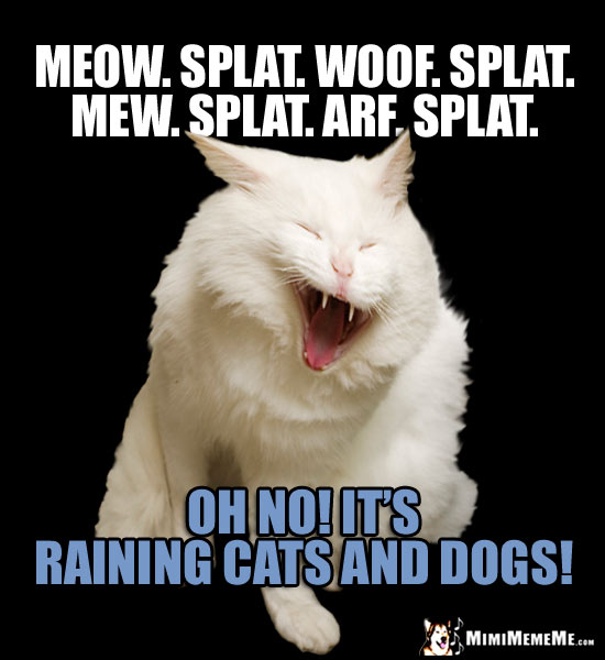 Laughing Cat Joke: Meow. Splat. Woof. Splat. Mew. Splat. Arf. Splat. Oh no! It's raining cats and dogs!
