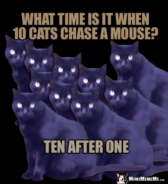 Cats Tell a Joke: What time is it when 10 cat chase a mouse? Ten After One