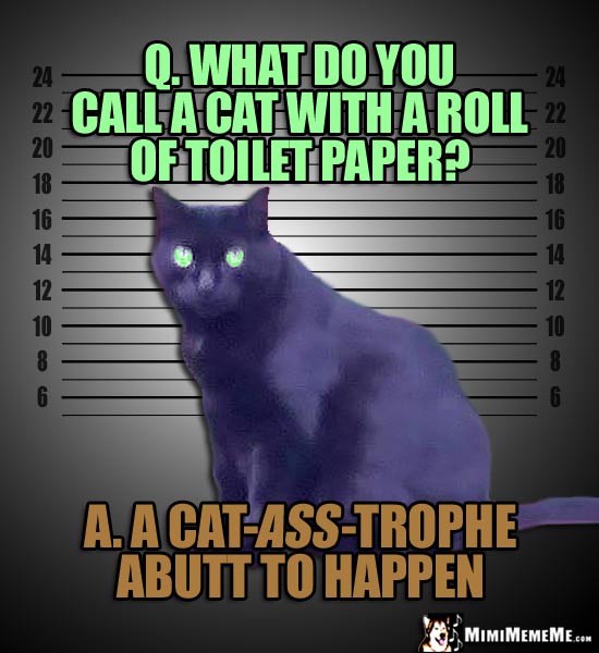 Mug Shot Cat: Q. What do you call a cat with a roll of toilet paper? A. A Cat-Ass-Trophe abutt to happen
