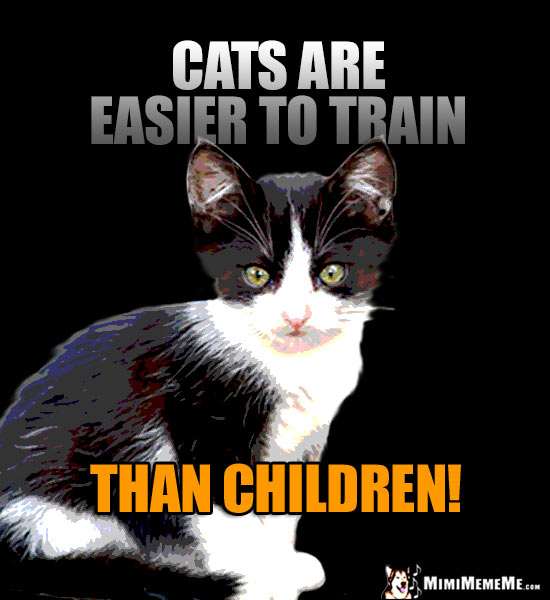 Baby Kitten Says: Cats are easier to train than children!