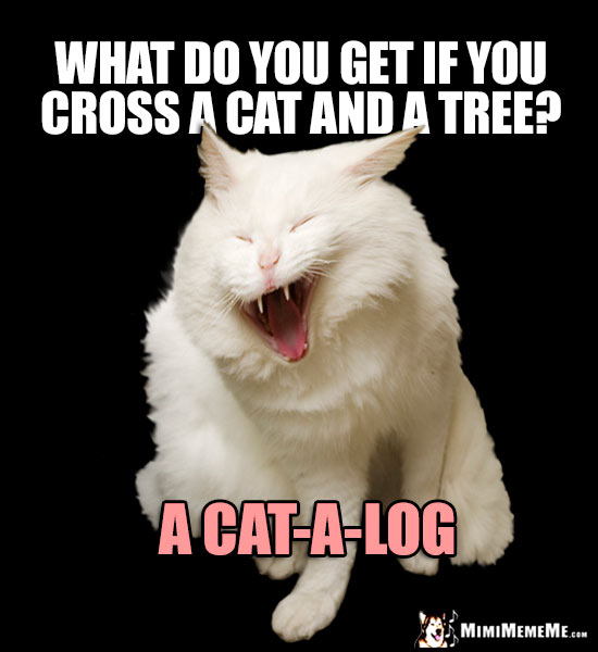 Laughing Cat Asks: What do you get if you cross a cat and a tree? A Cat-A-Log