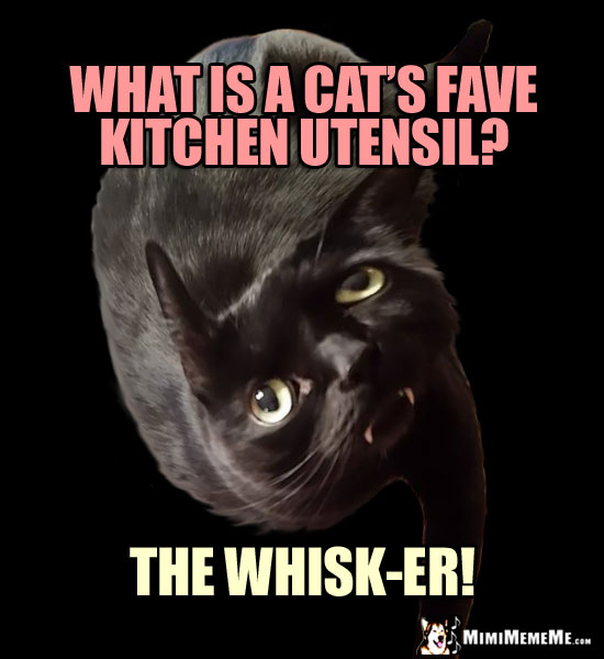Funny Cat Pun: What is a cat's fave kitchen utensil? The Whisk-er!