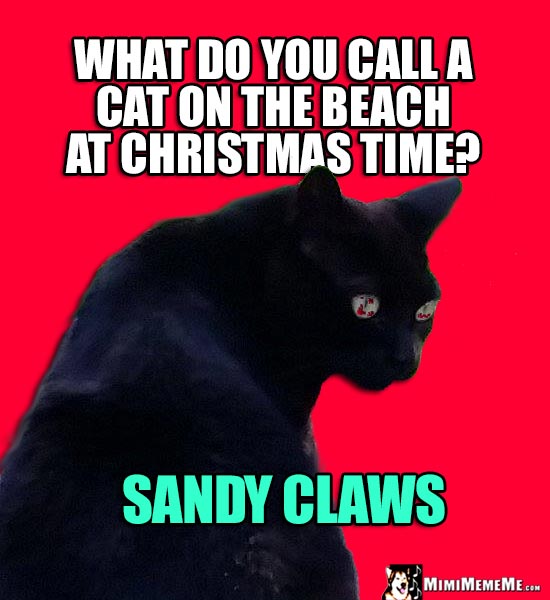 Xmas Cat Joke: What do you call a cat on the beach at Christmas time? Sandy Claws