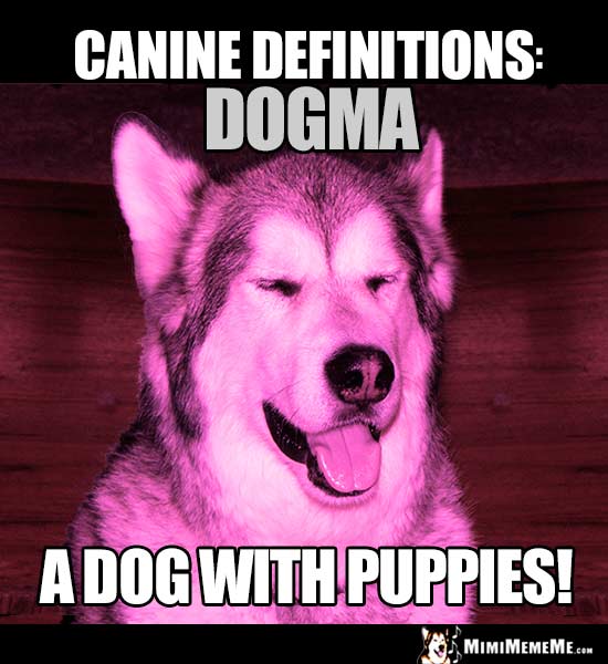 Dog Humor - Canine Definitions: Dogma. A dog with puppies!