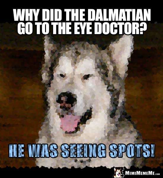 Dog Joke: Why did the Dalmatian go to the eye doctor? He was seeing spots!