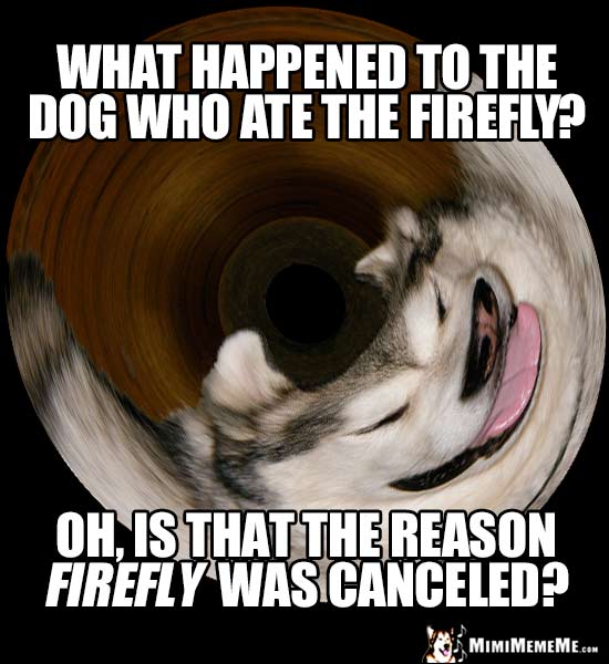 Sci-Fi Dog Joke: What happened to the dog who ate the Firefly? Oh, is that the reason Firefly was canceled?