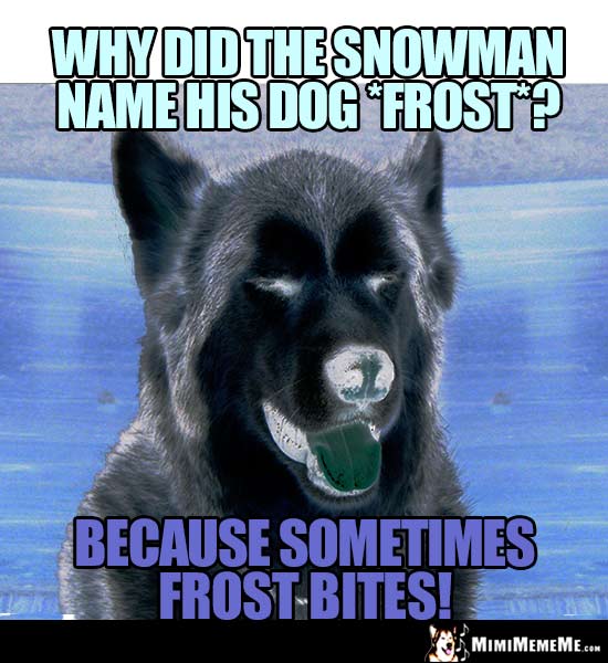 Dog Joke: Why did the snowman name his dog Frost? Because sometimes Frost bites!