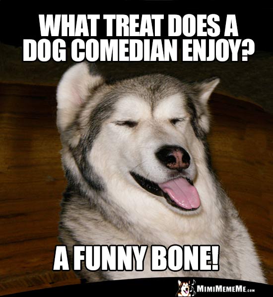 Dog Humor: What treat does a dog comedian enjoy? A Funny Bone!