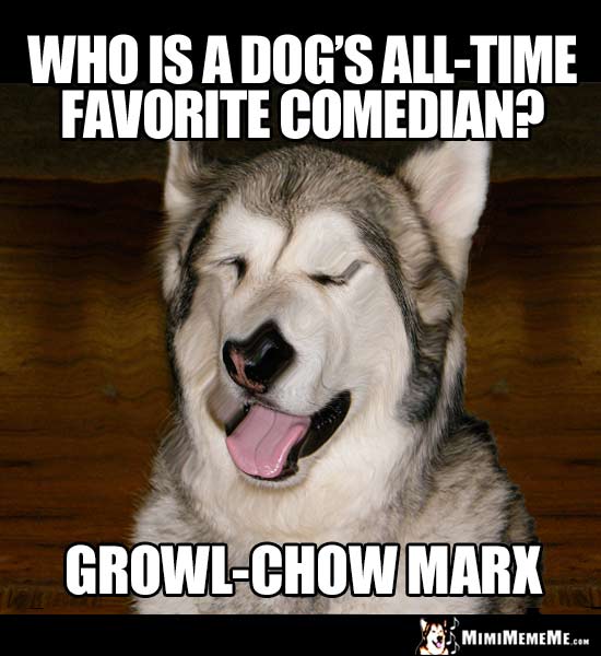 Dog Joke: Who is a dog's all-time favorite comedian? Growl-Chow Marx