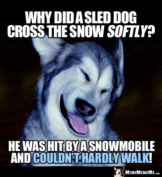Dog Joke: Why did a sled dog cross the snow softly? He was hit by a snowmobile and couldn't hardly walk!