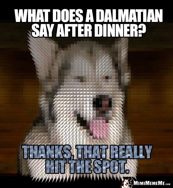 Dog Riddle: What does a Dalmatian say after dinner? Thanks, that really hit the spot.