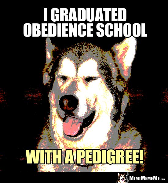Dog Joke: I graduated obedience school with a pedigree!