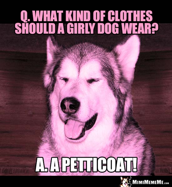 Dog Riddle: What kind of clothes should a girly dog wear? A petticoat!