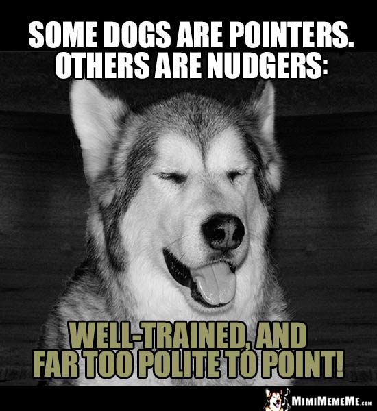 Dog Humor - Some dogs are pinters. Others are Nudgers: Well-trained, and far too polite to point!