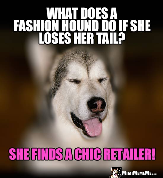 Dog Humor: What does a fashion hound do if she loses her tail? She finds a chic retailer!