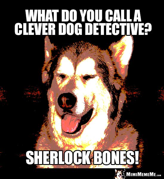 Dog Riddle: What do you call a clever dog detective? Sherlock Bones!
