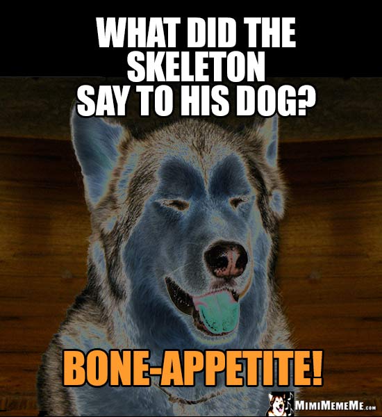 Halloween Dog Joke: What did the skeleton say to his dog? Bone-Appetite!