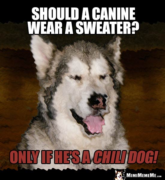 Dog Humor: Should a canine wear a sweater? Only if he's a chili dog!