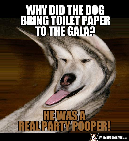 Dog Joke: Why did the dog bring toilet paper to the gala? He was a real party pooper!
