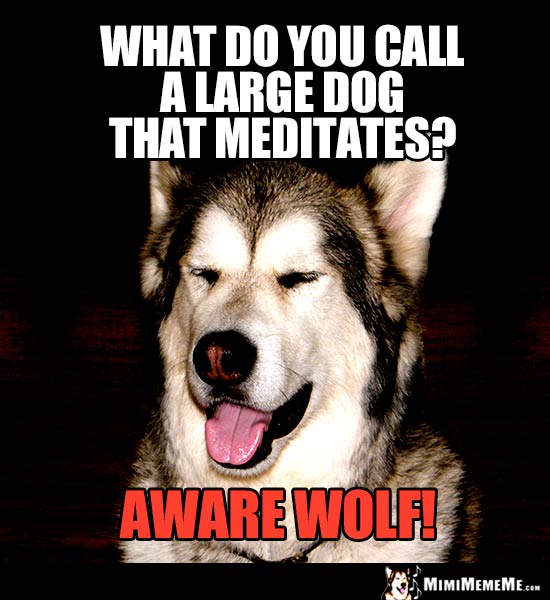 Halloween Dog Joke: What do you call a large dog that meditates? Aware Wolf!