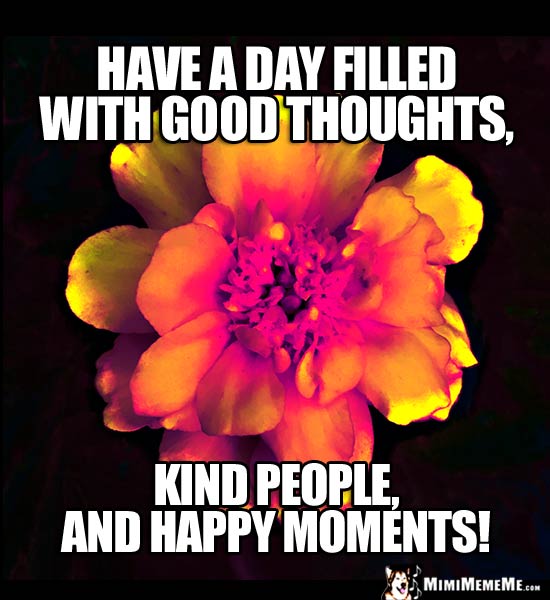 Flower with Motivational Words: Have a day filled with good thoughts, kind people, and happy moments!