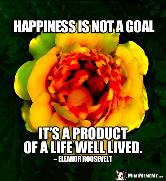 Eleanor Roosevelt Quote: Happiness is not a goal, it's a product of a life well lived.