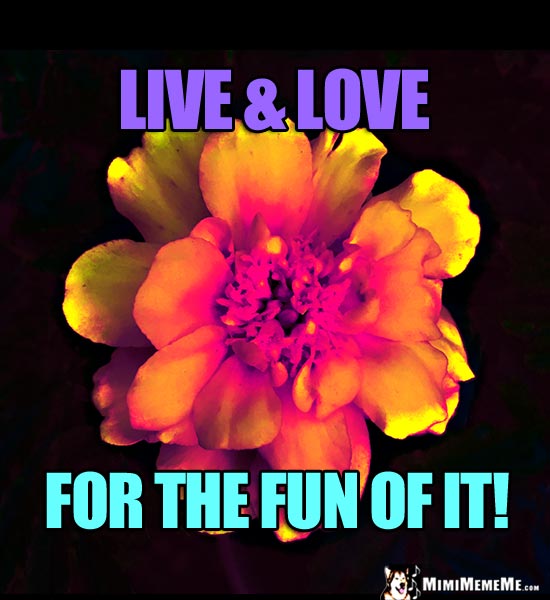 Vibrant Flower Saying: Live & Love for the fun of it!