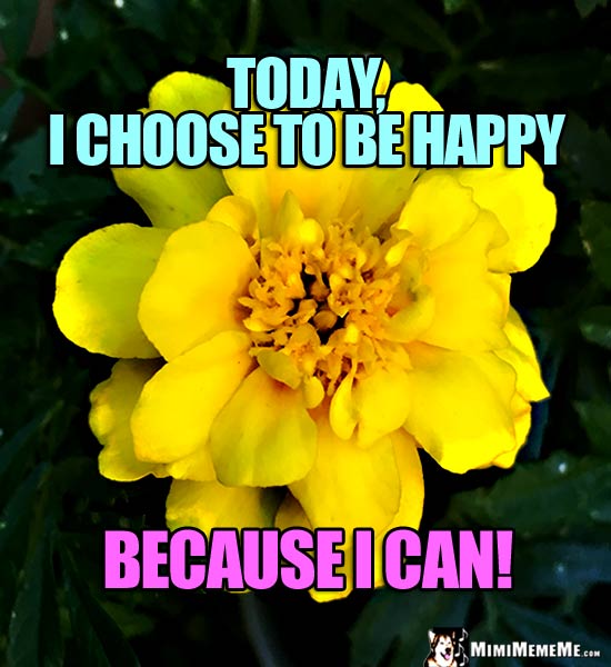 Yellow Flower Saying: Today, I choose to be happy because I can!