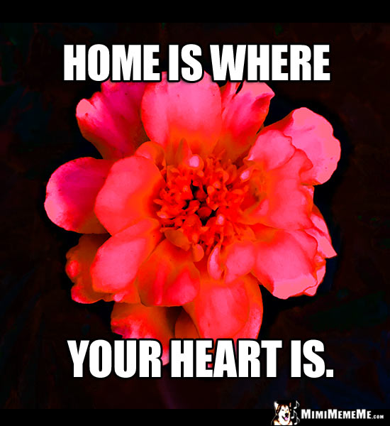 Flower with Good Thoughts: Home is where your heart is.