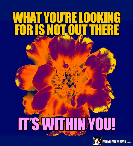 Xray Flower Saying: What you're looking for is not out there. It's within you!