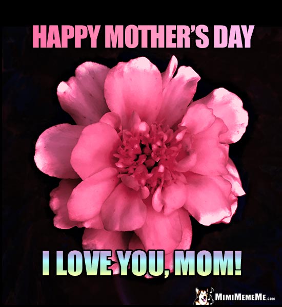 Pink Flower: Happy Mother's Day. I Love You, Mom!