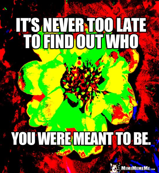 Sylized Flower Poster Saying: It's never too late to find out who you were meant to be.