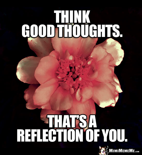 Flower Saying: Think Good Thoughts. That's a reflection of you.