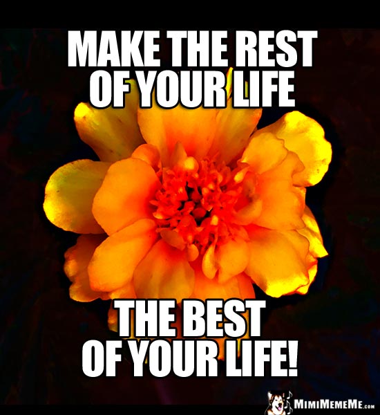 Motivational Thoughts from a Flower: Make the rest of your life the best of your life!