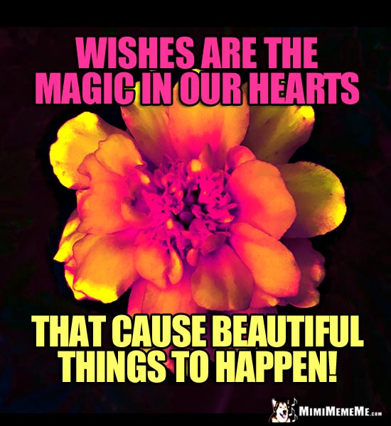 Good Thought Meme: Wishes are the magic in our hearts that cause beautiful things to happen!