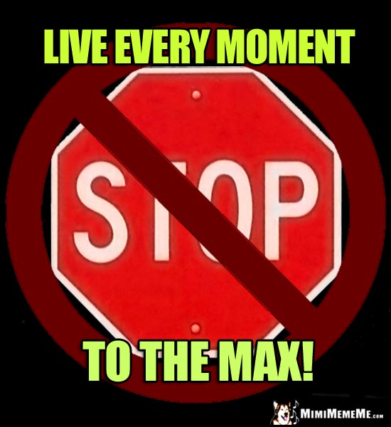 NO Stop Sign: Live every moment to the max!