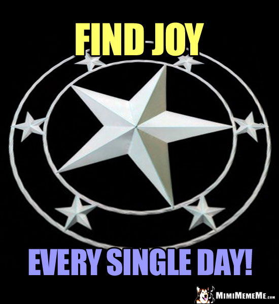 Star in a Circle Says: Find Joy Every Single Day!