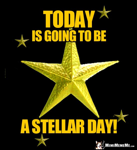 Gold Stars Say: Today is going to be a stellar day!