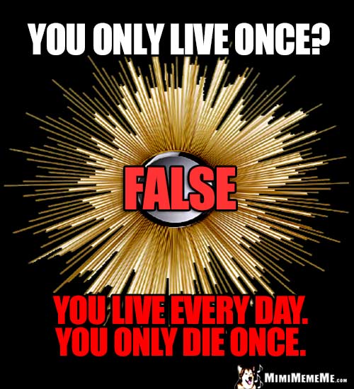 Humorous Good Thought: You only live once. FALSE. You live every day. You only die once.