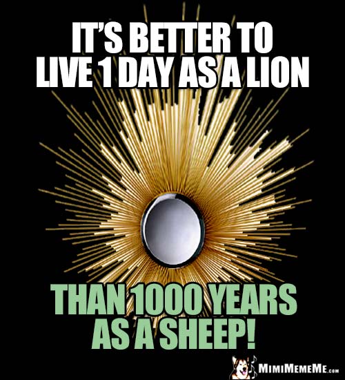 Zen Thought: It's better to live 1 day as a lion, than 1000 years as a sheep!